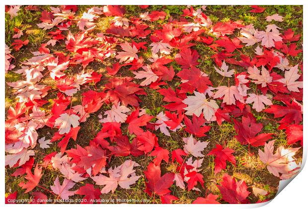 chromatic magic of the autumn Print by daniele mattioda