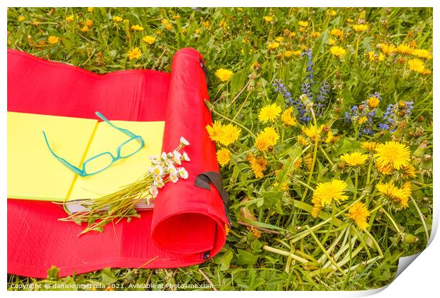 relax on a flowery meadow in spring Print by daniele mattioda