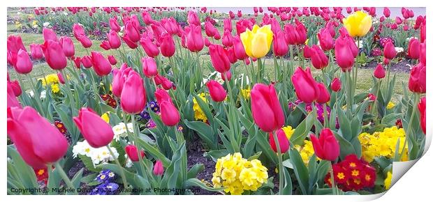 Tulips in Stanley Park, Blackpool Print by Michele Davis