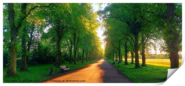 Haslam Park Preston Print by Michele Davis