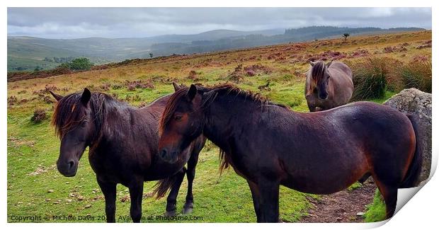 Dartmoor Ponies Print by Michele Davis