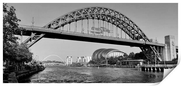 Tyne Bridges Monochrome Print by Michele Davis