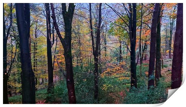 Autumn Trees Forest of Bowland Print by Michele Davis