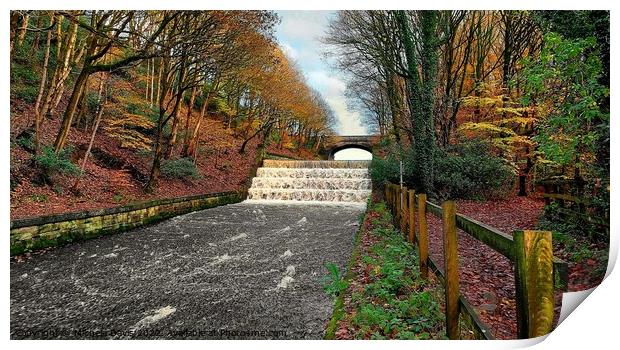 Yarrow Reservoir Overflow, Rivington Print by Michele Davis