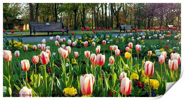 Tulips Stanley Park Print by Michele Davis