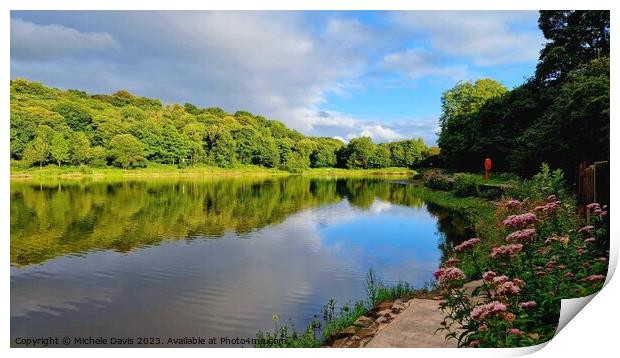 Yarrow Valley Country Park Print by Michele Davis