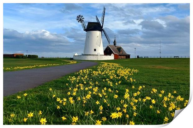 Daffodils, Lytham Windmill  Print by Michele Davis