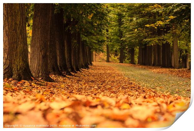 woods autumn magic in a park Print by susanna mattioda