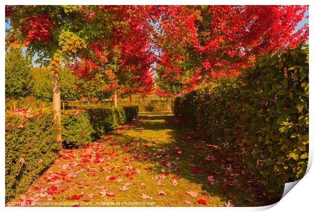 chromatic magic of the autumn Print by susanna mattioda