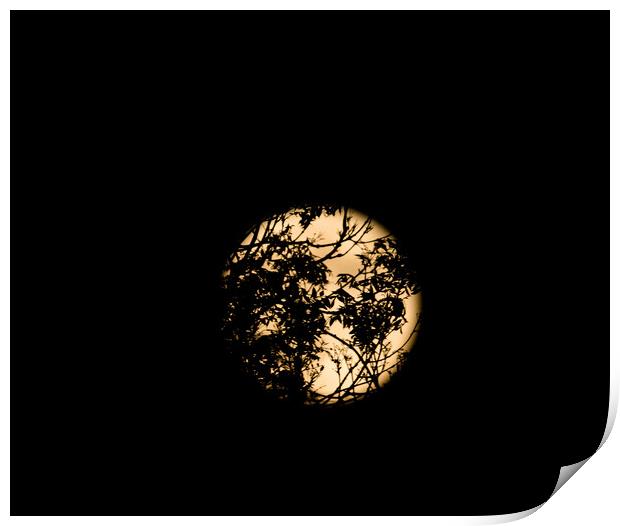 Silhouette moon Print by Sam Owen