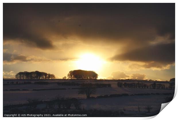 Wintery Sun Print by AJS Photography