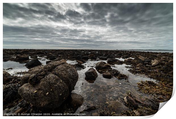 Lindisfarne contemplation Print by Austen O'Hanlon