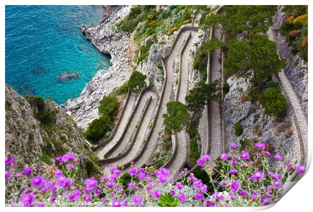 Capri, Via Krupp, Italy. Print by Antonio Gravante