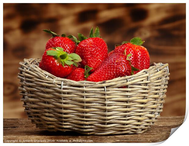 Strawberries Print by Antonio Gravante