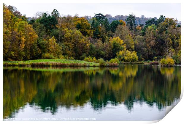 Woodland Lake Reflection Print by Alexandra Rutherford