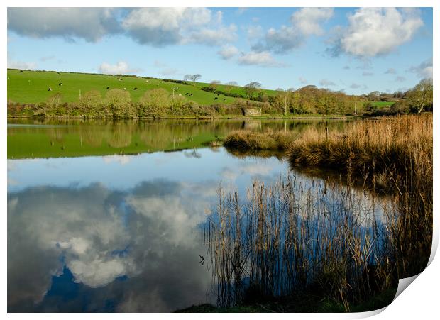 Never Estuary, Welsh Reflections Print by Alexandra Rutherford