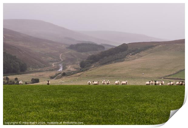 Graceful Sheep Ascend the Verdant Hill Print by Mike Byers