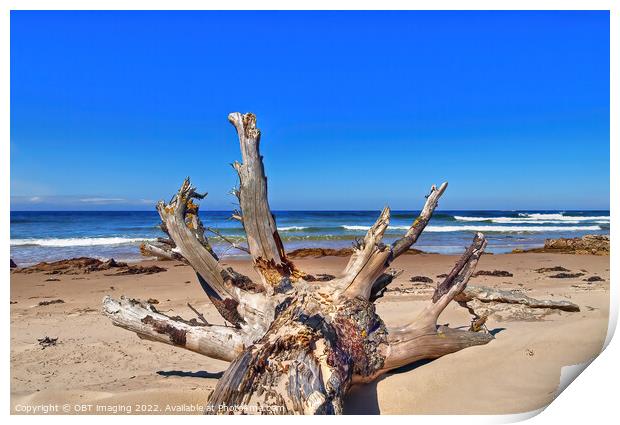 Lossiemouth Beach Morayshire Scotland Delivered By The Storm Print by OBT imaging