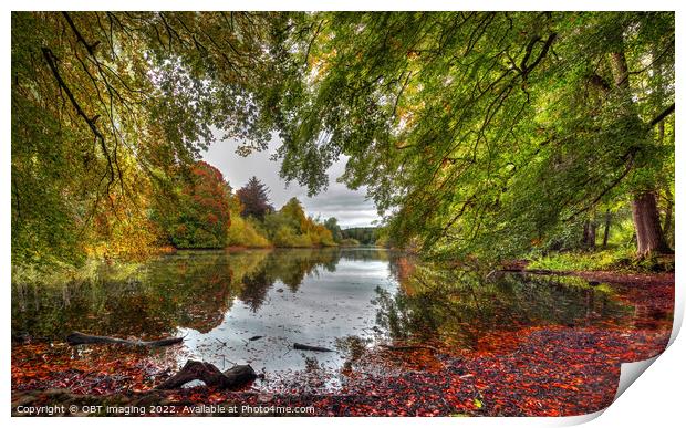 Emotion By The Lake Beech Tree Autumn Peace Print by OBT imaging