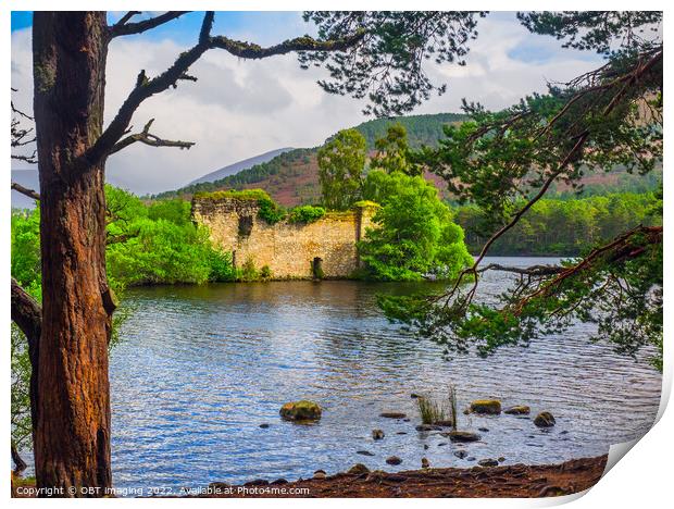 Loch An Eilein From The Pines Rothiemurchus Cairngorms Scottish Highlands  Print by OBT imaging