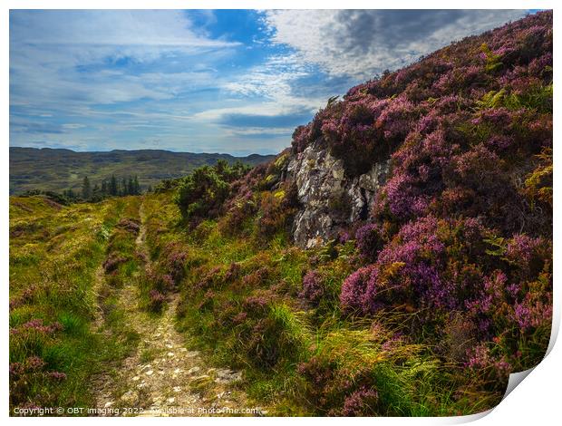 Ancient Drovers Road Heather Clad Assynt West Highland Scotland Print by OBT imaging