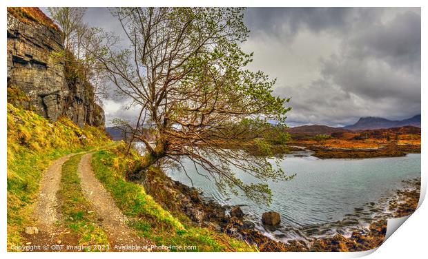 Highland Scotland Tree and Track Print by OBT imaging