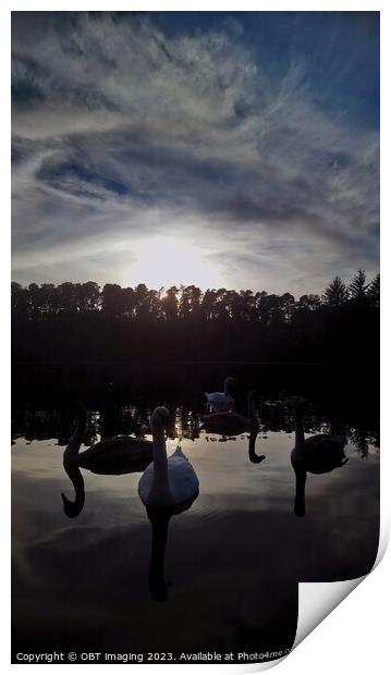 Swans Farewell Tranquil Twilight Lake & Forest  Print by OBT imaging