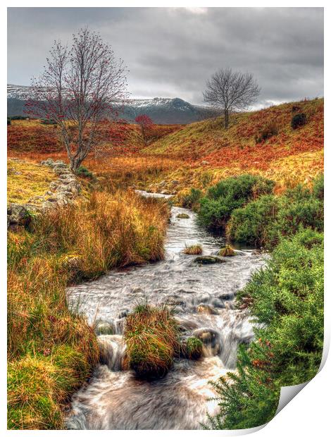 Moorland Stream Ben Rinnes Scotland Print by OBT imaging
