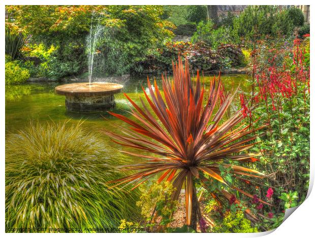 Fountain and Fabulous Foliage Garden Scotland Print by OBT imaging