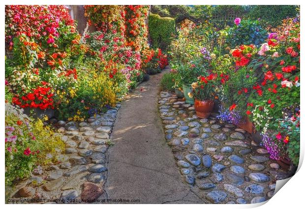 Cottage Garden Path  Print by OBT imaging