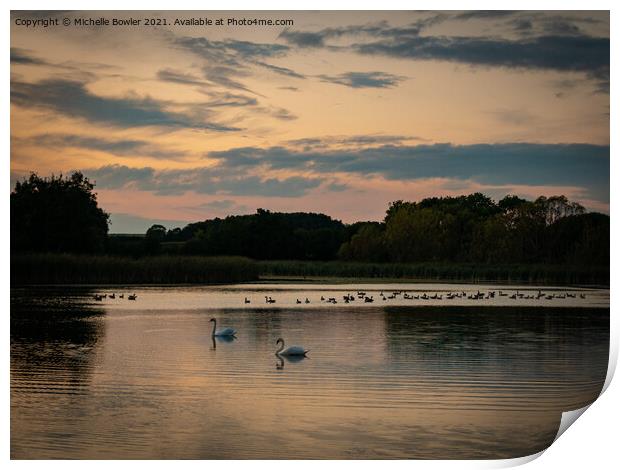 Sunset swans Print by Michelle Bowler