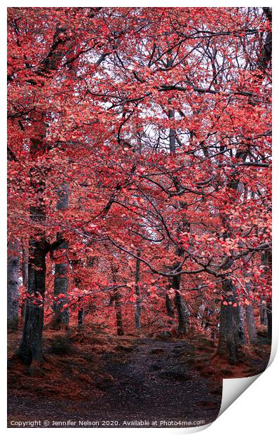 Beautifully Entangled - Tollymore Forest Park Print by Jennifer Nelson