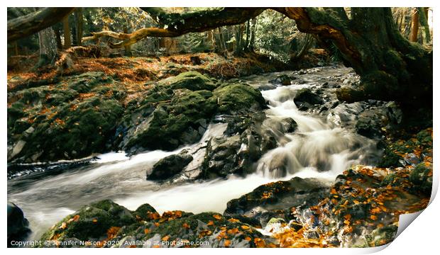 Shimna River - Tollymore Forest Print by Jennifer Nelson
