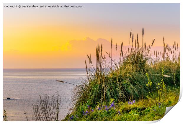 Serene Sunrise Over Cornish Coastal Flowers Print by Lee Kershaw