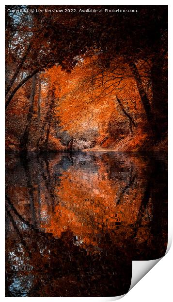 "Autumn's Fiery Embrace: A Captivating Reflection" Print by Lee Kershaw