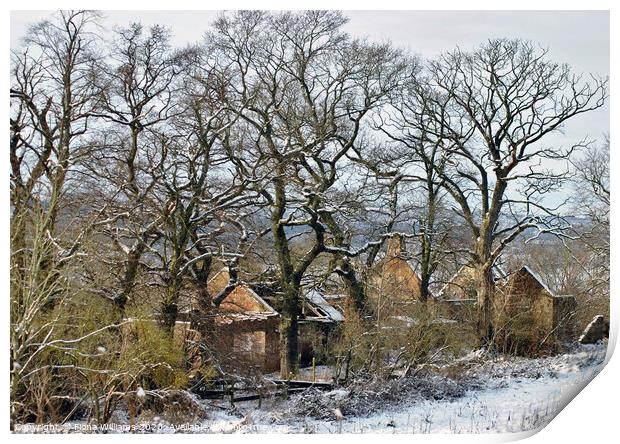 Derelict Farmhouse at Carbarns Farm in Netherton o Print by Fiona Williams