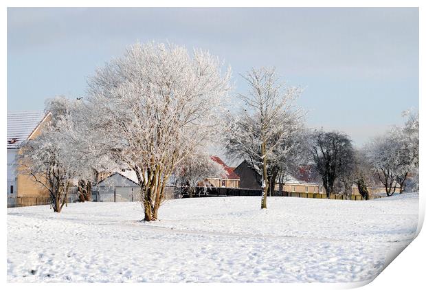 Winter landscape Print by Fiona Williams