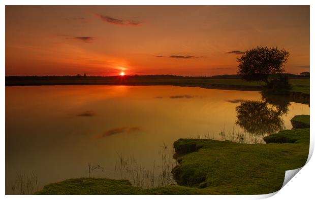 Sun set over the New Forest Print by Andy Dow