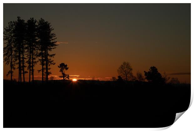 Sunrise between the trees Print by Andy Dow