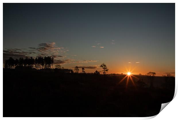 Sunrise over the New Forest Print by Andy Dow