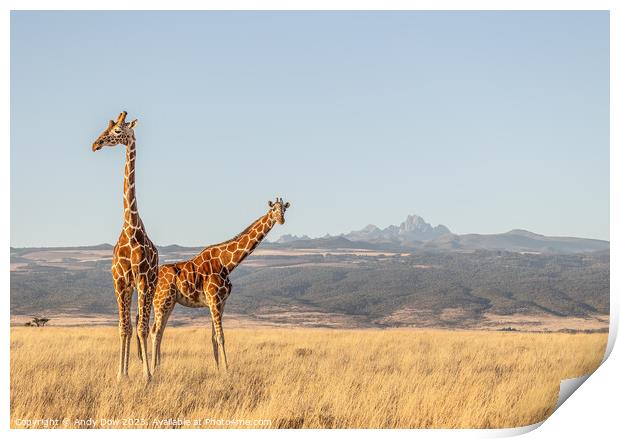 Mt Kenya and the giraffes  Print by Andy Dow