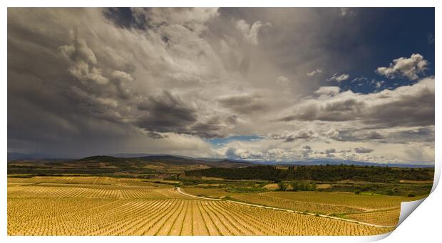 Storms approach over Rioja vineyards  Print by Andy Dow