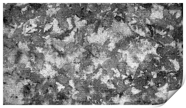 Autumn Leave Imprints on Concrete Print by Hristo Assadourian