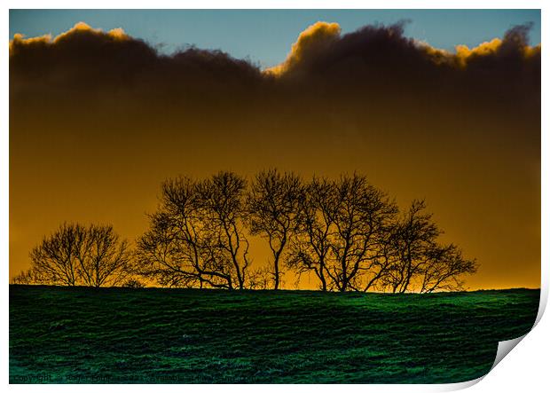 Moody SkylineA large green field in front of a sunset Print by Roger Foulkes