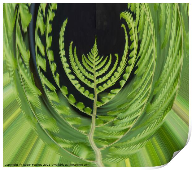 Plant leaves Fern Mouse Eye View Print by Roger Foulkes