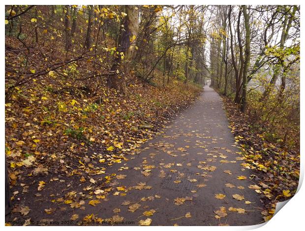 Durham riverside pathway  Print by Janet Kelly