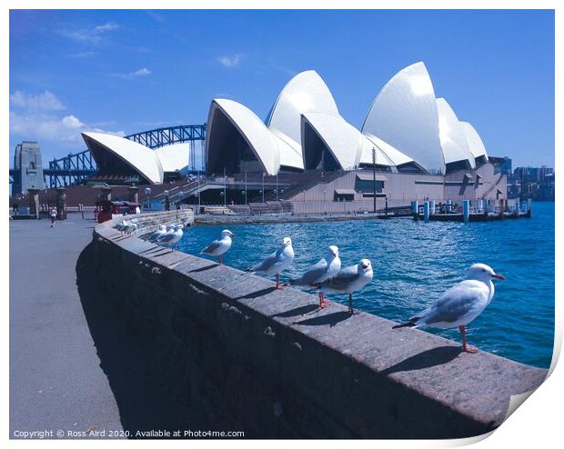 Seagulls & Sydney Opera House Print by Ross Aird