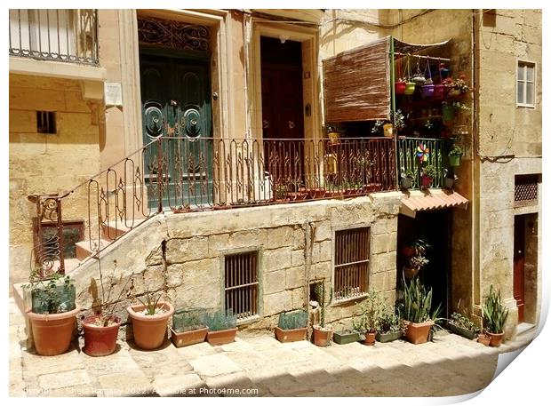Valletta doorways Print by Sheila Ramsey