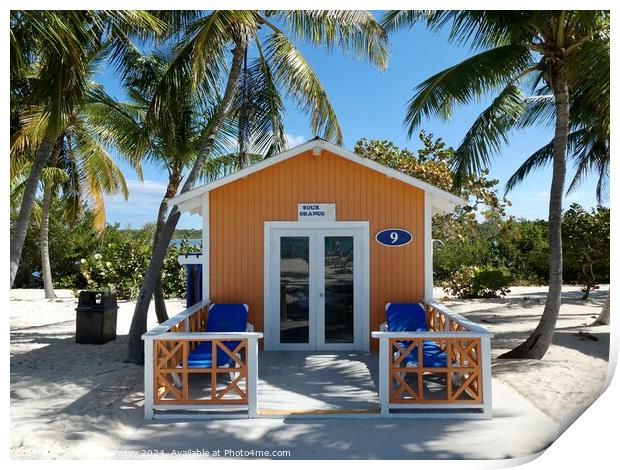 Sour Orange Beach Hut Bahamas Print by Sheila Ramsey