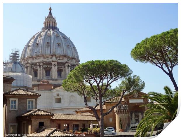 The Dome Of St Peter's Rome Print by Sheila Ramsey